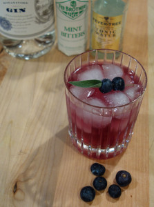Blueberry Sage Gin & Tonic
